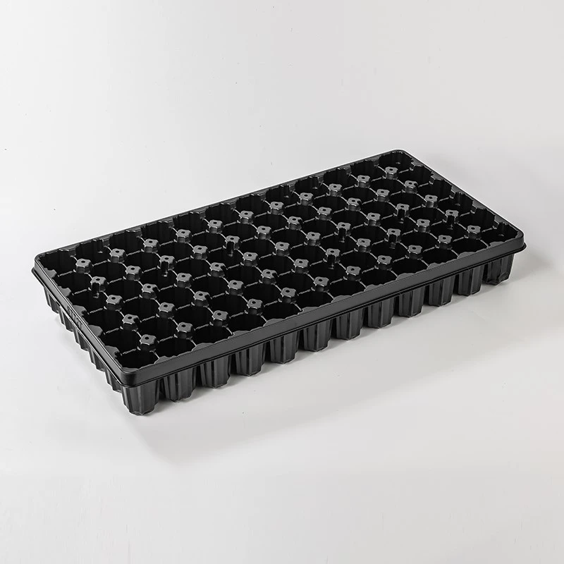 product-800-800